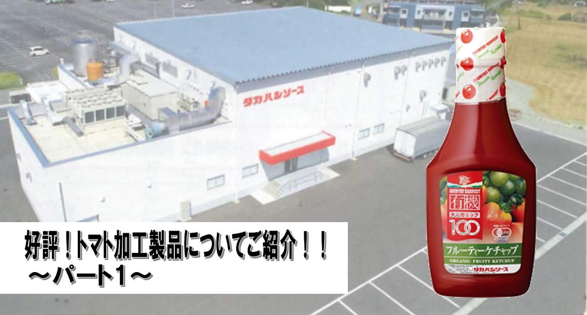 537円 新作商品 ナガノトマト 長野県産ケチャップ 240g 537円 新作商品 ナガノトマト 長野県産ケチャップ 240g